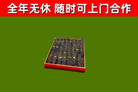 龙游县回收海参